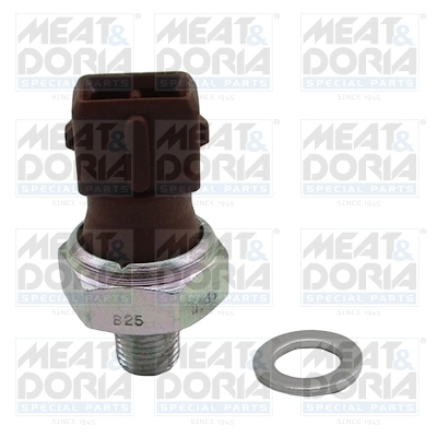 Oil Pressure Switch